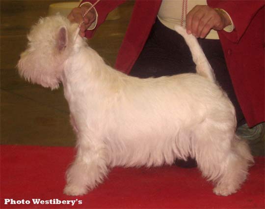 Publication : De catextol Auteur : De Catextol