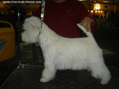 Publication : De catextol Auteur : De Catextol