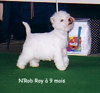 Publication : De catextol