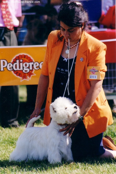 Publication : De catextol