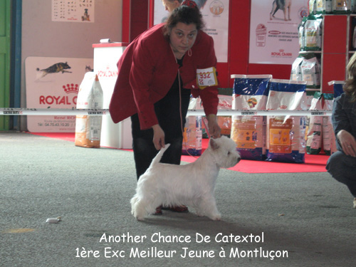 Publication : De catextol Auteur : De Catextol