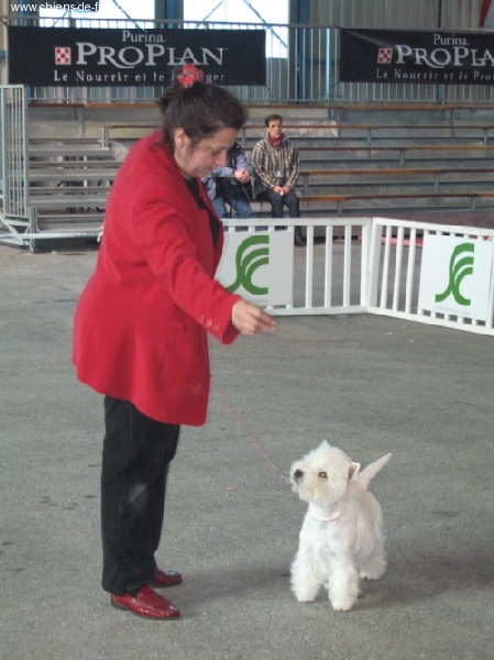 Another chance De catextol - 1Exc -Meilleur Jeune-