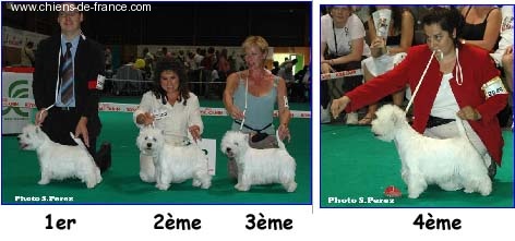 Another chance De catextol - 4ème Excellent