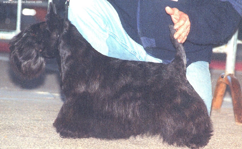 Publication : Du mont sansouci