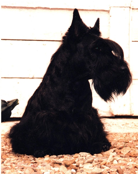 Publication : Du mont sansouci