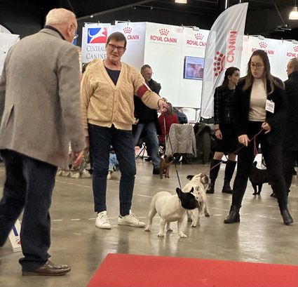 Sofia Du Clos De Saint Edern - 1 ere Exellent CACS