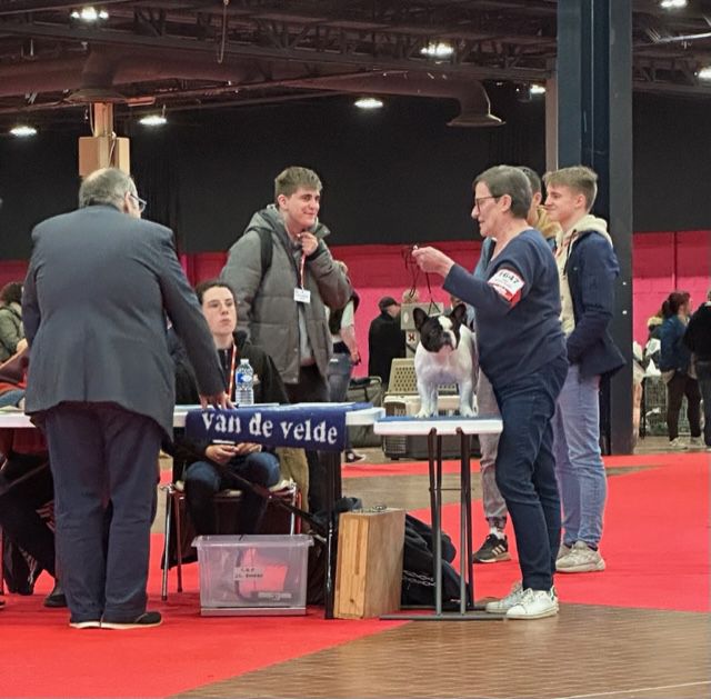 Sofia Du Clos De Saint Edern - 1 ere Exellent CACS