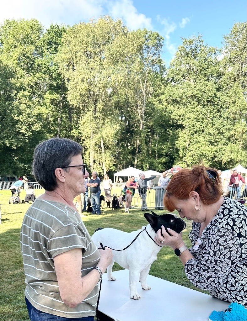 Sofia Du Clos De Saint Edern - 1 er Excellent CACS MEILLEUR DE RACE