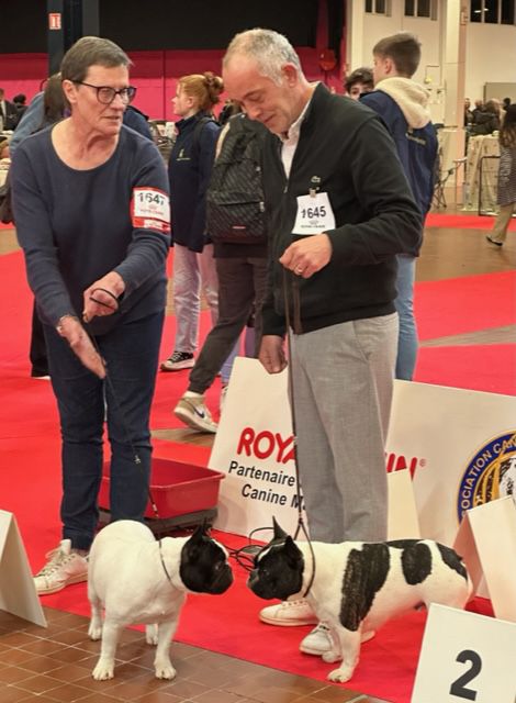 Sofia Du Clos De Saint Edern - 4 eme Excellent