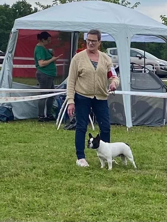 Sofia Du Clos De Saint Edern - 1 ère Excellent CACS Classe Ouverte Femelle Caille