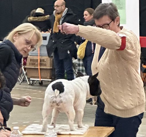 Sofia Du Clos De Saint Edern - 1 ere Exellent CACS