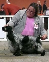 Francini's Bella favola - 1er Exc CAC