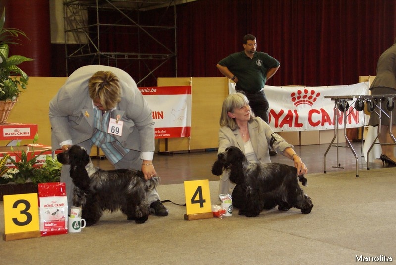 CH. Francini's B.b. - 3eme Exc classe intermédiaire