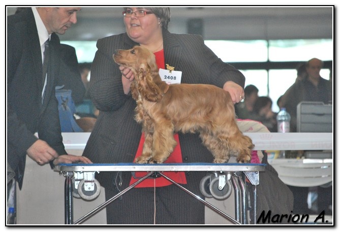 Francini's More love - Très prometteur