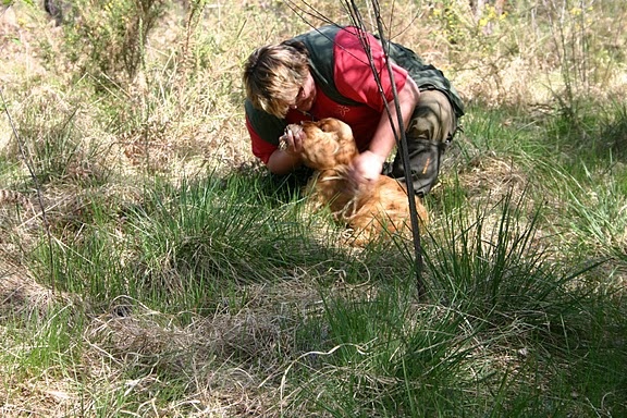 Francini's More love - obtention du TAN (Test d'Aptitudes Naturelles)