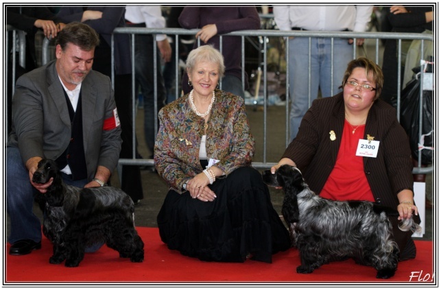 CH. Francini's B.b. - 2eme Exc classe jeune