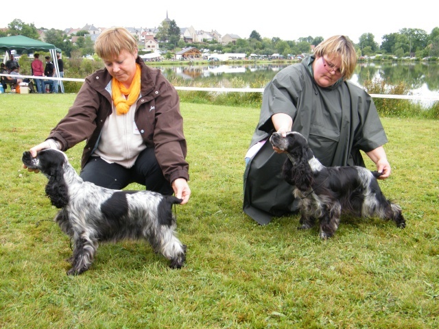 Francini's Bella favola - RCACS (à gauche sur la photo)