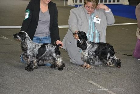 Francini's Bella favola - Excellent