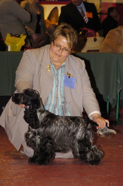 CH. Francini's B.b. - 1er Exc Meilleur Jeune Meilleur du 8eme Groupe Jeune