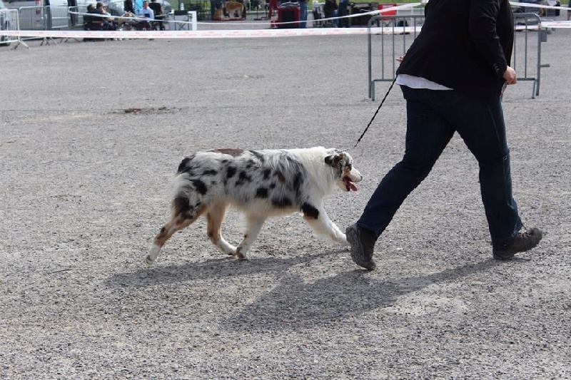 If you can rock me des Terres De Khairyaca - 2ème excellent classe Intermédiaire