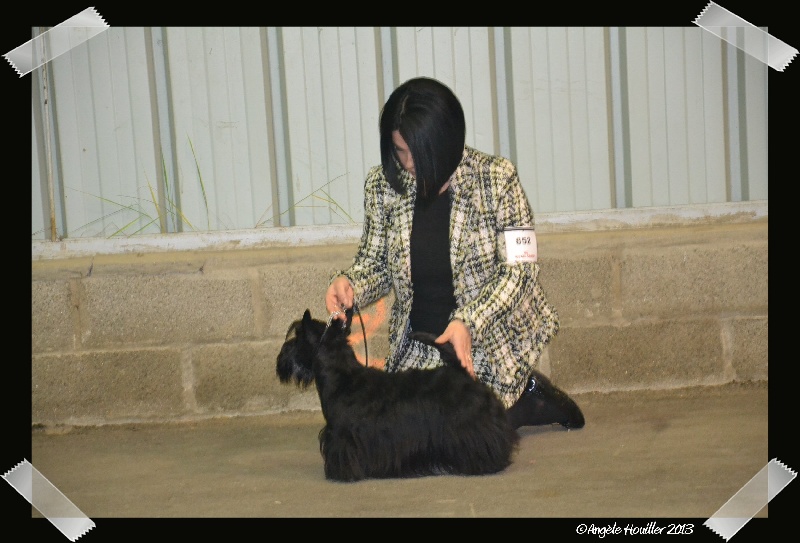 Ty chas skot Dahl mad - RCAC