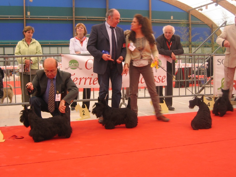 CH. Ty chas skot El rescator dit joffrey - 4eme excellent classe jeune mâle