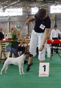 Upsa Bright Fox-trot forever - 1ier Exc. Classe Intermédiaire