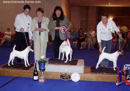 Upsa Bright Fox-trot forever - 3ème Femelle PL + 1ier Exc. Classe Intermédiaire