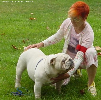 CH. Brampton's The governor - 1 er EXC CACS