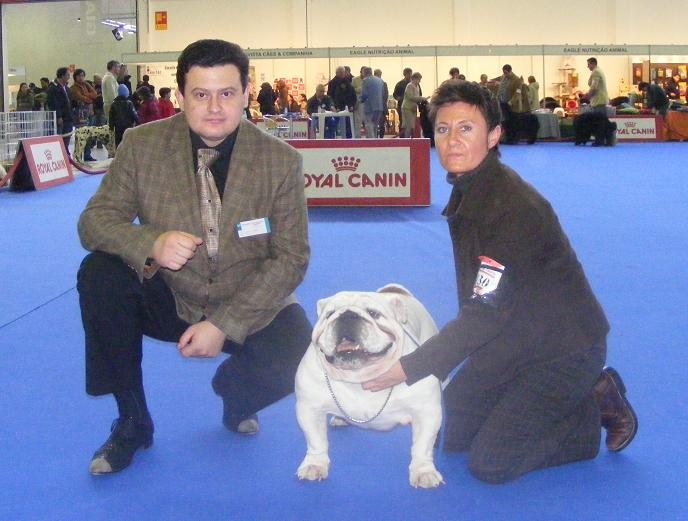 CH. Brampton's The governor - 1e Excellent + CAC + CACIB