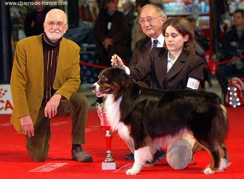 Publication : De mauristasia Auteur : Nancy Schilz