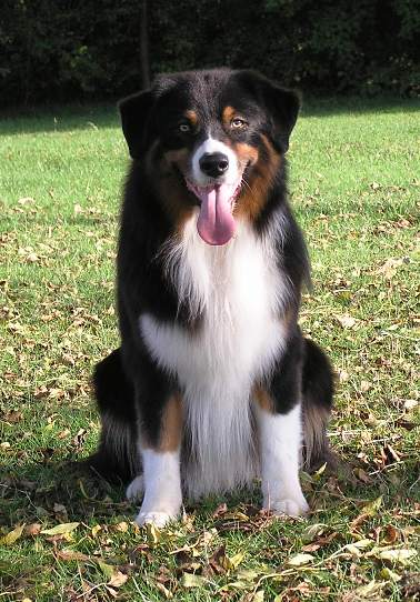 Publication : De mauristasia Auteur : Nancy Schilz