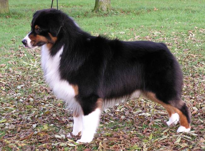 Publication : De mauristasia Auteur : Nancy Schilz