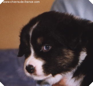 Publication : De mauristasia Auteur : Nancy Schilz