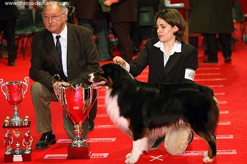 CH. Tanaïs soft black De mauristasia - BOB - BOG - BIS