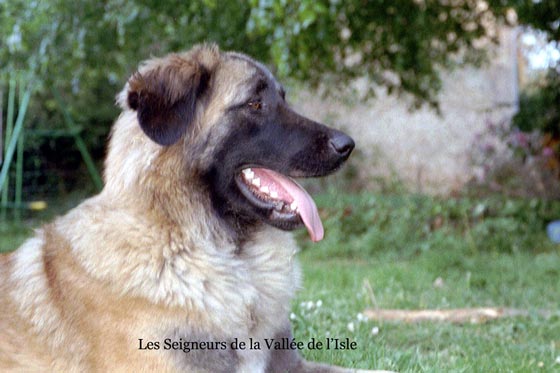 Publication : des Seigneurs de la Vallée de l'Isle