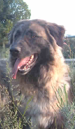 Publication : des Seigneurs de la Vallée de l'Isle