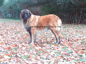 Publication : des Seigneurs de la Vallée de l'Isle