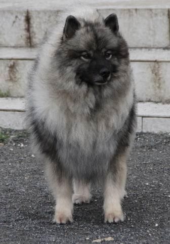 Publication : Of bloom white