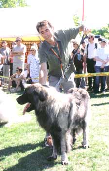 CH. Visão des Seigneurs de la Vallée de l'Isle - CACS - Meilleur de Race - 1er Excellent