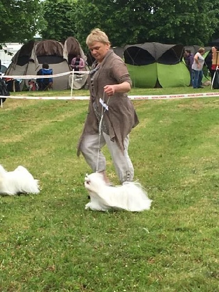 CH. Galiano le prince Du domaine de fraisno - 1er Excellent RCACS