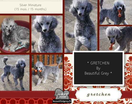 Publication : The beautiful grey of marysa Auteur : by M&F for BGoM