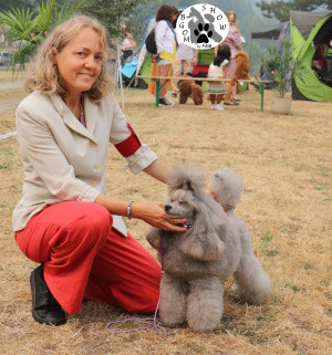 CH. KRISTAL - NYMPHEA SHADES OFGREY The beautiful grey of marysa - 1ere EXC CAC-V + Championne de France Veteran