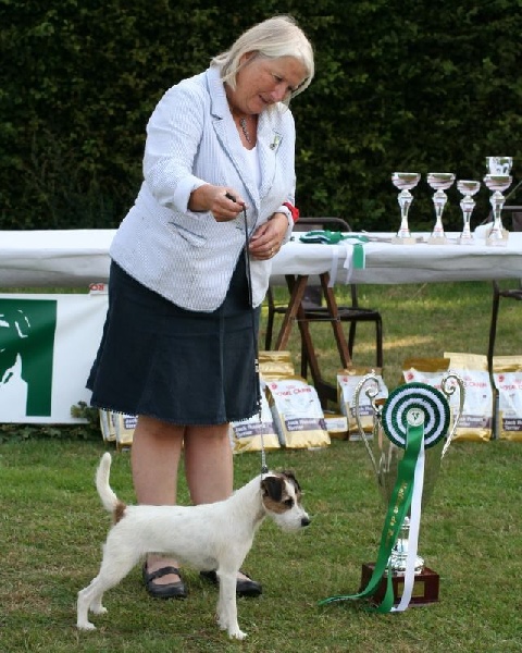 Hello kitty De la forge saint eloi - CACS / BOB et Best in Show