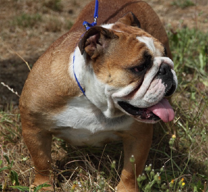 Publication : (Sans Affixe) Auteur : www.maraprod.com