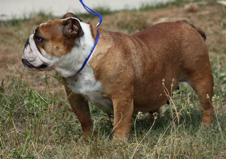 Publication : (Sans Affixe) Auteur : www.maraprod.com