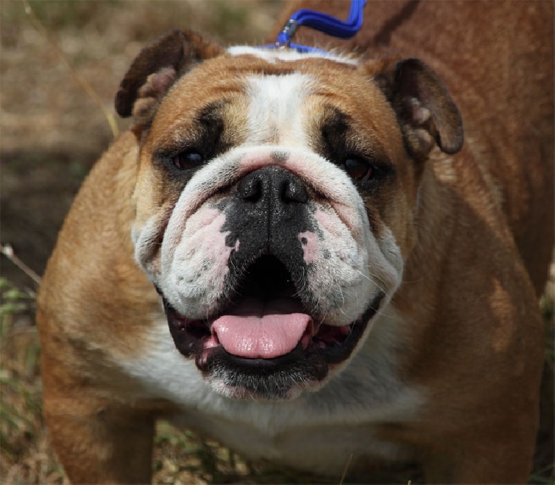 Publication : (Sans Affixe) Auteur : www.maraprod.com