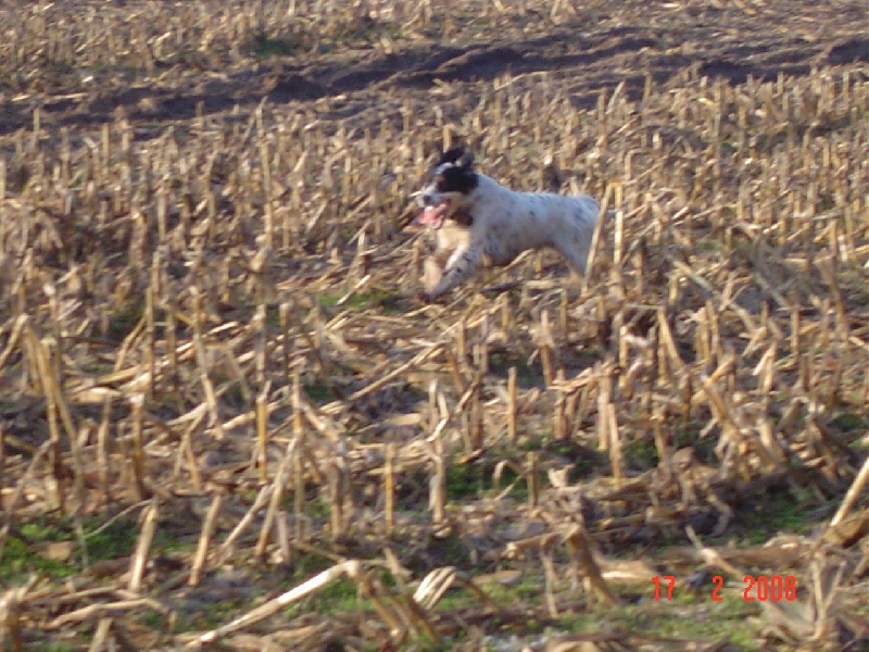 Publication : De sandie landes Auteur : De Sandie Landes