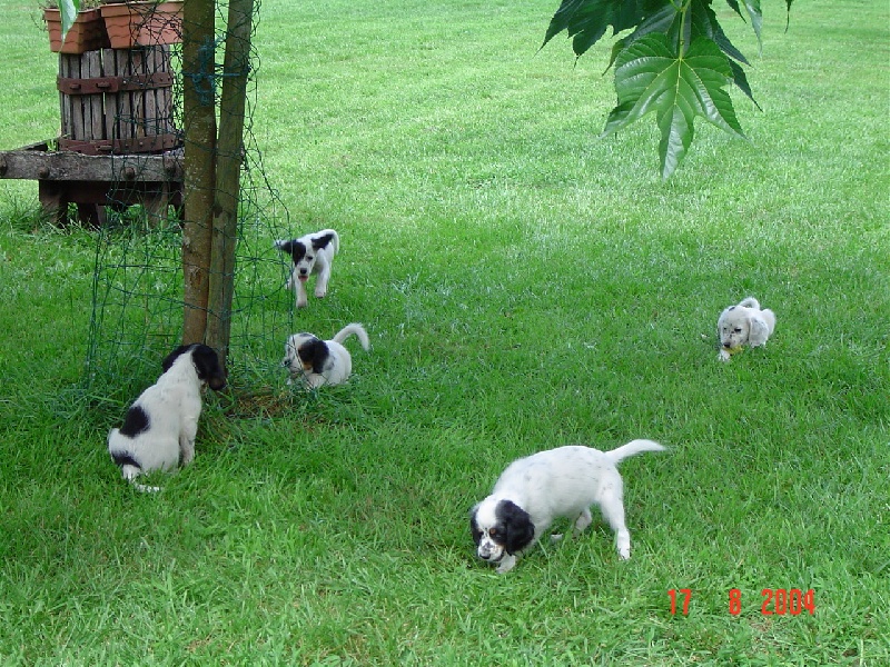 Publication : De sandie landes Auteur : De Sandie Landes