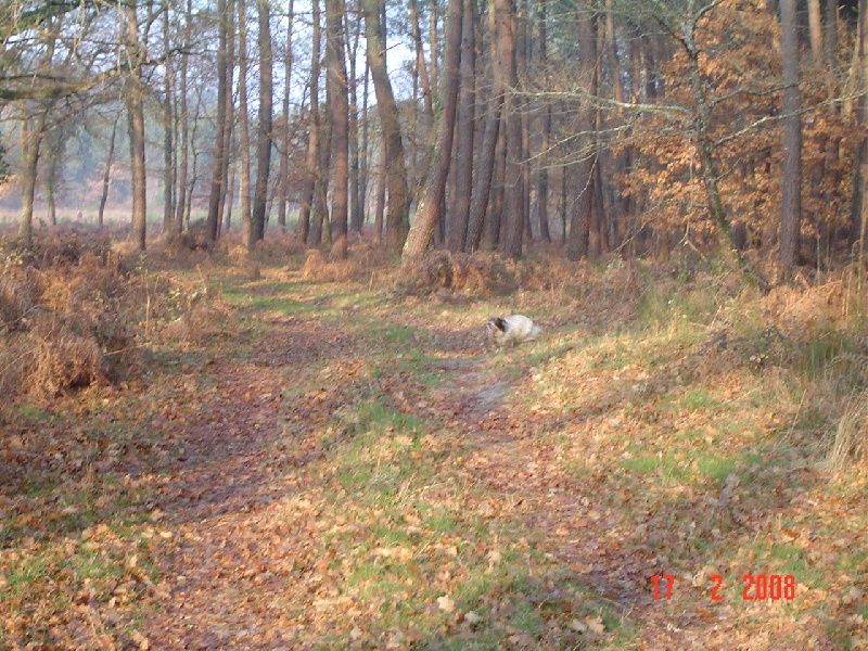 Publication : De sandie landes Auteur : De Sandie Landes